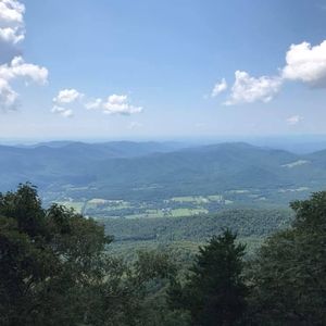 Meet your Posher, Curtis